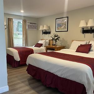 Classic Room 1 Queen 1 Single Bed